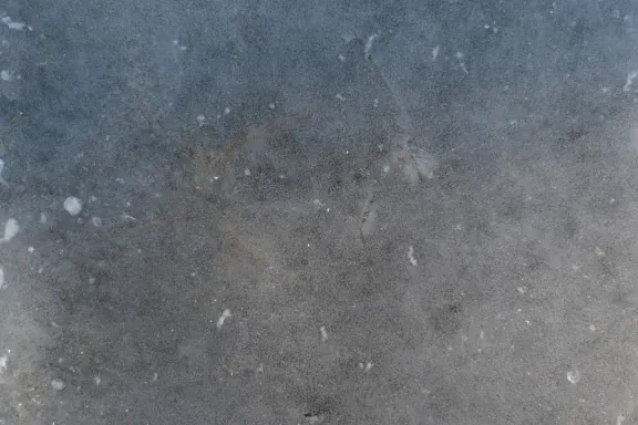 Καζίνο Κοινσ Γαμε Υποστηριξη